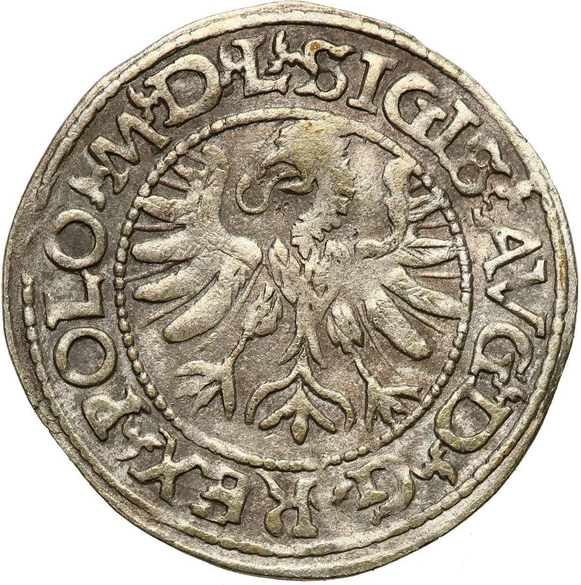 Zygmunt II August .Półgrosz 1566, Tykocin - RZADKOŚĆ R5;